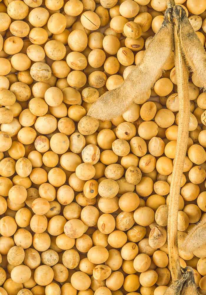 Soybeans